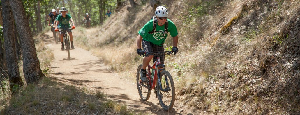 MB17 - Green Guide (M)