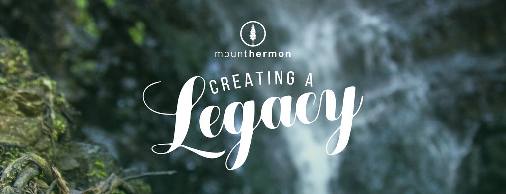 Legacy 17 Graphic