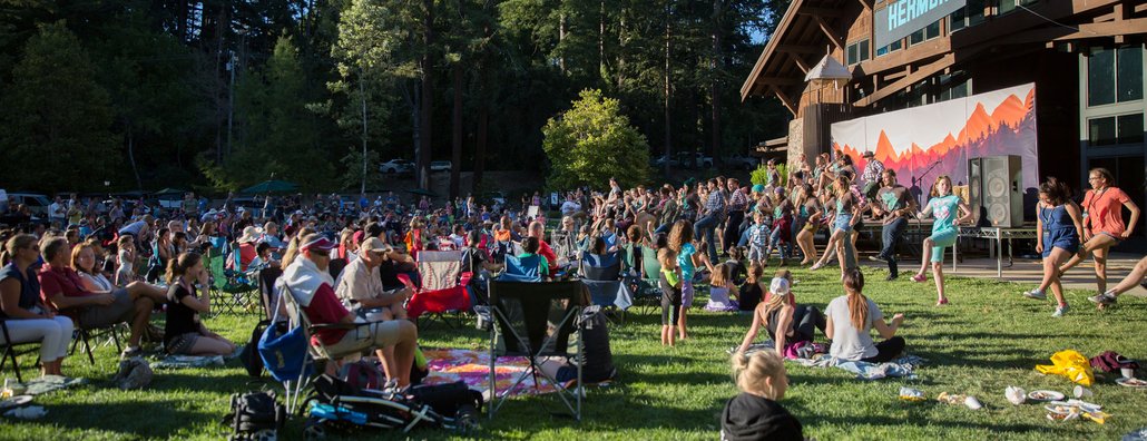 FC 2017 Stage Crowd