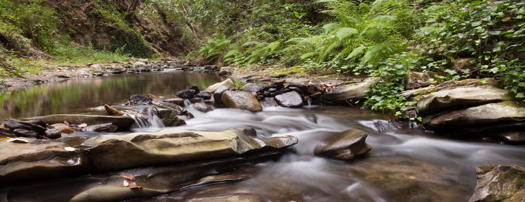 Environ - creek