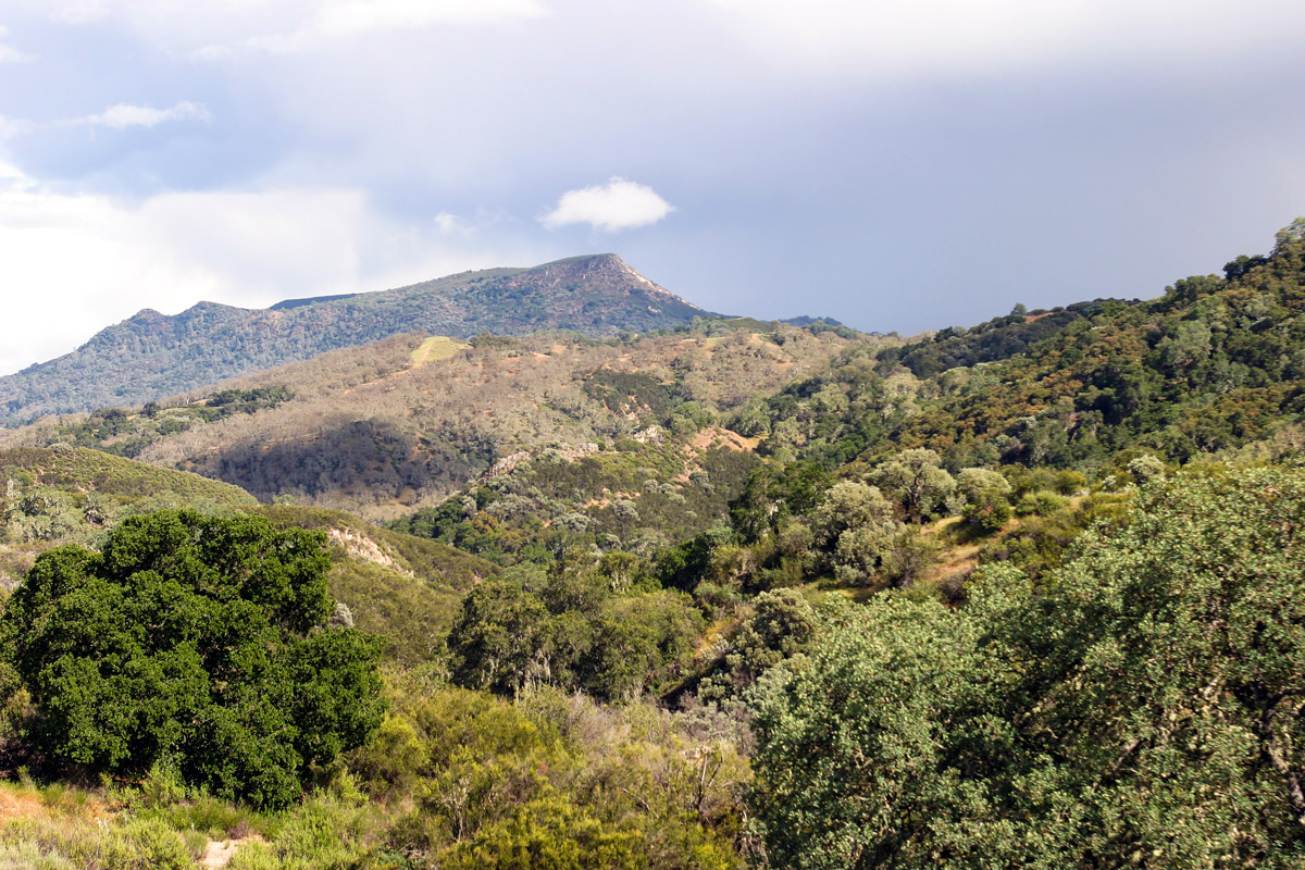 Whisper Canyon Hiking