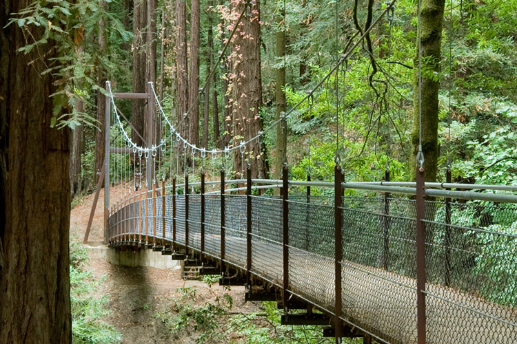Redwood Bridge