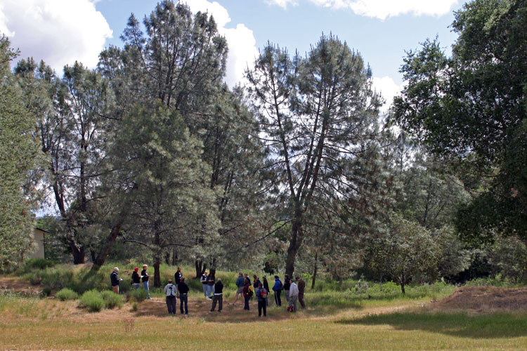 Whisper Canyon Guest Group